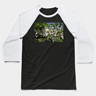 Bee on a flower Baseball T-Shirt